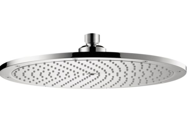 Raindance Royale Showerhead