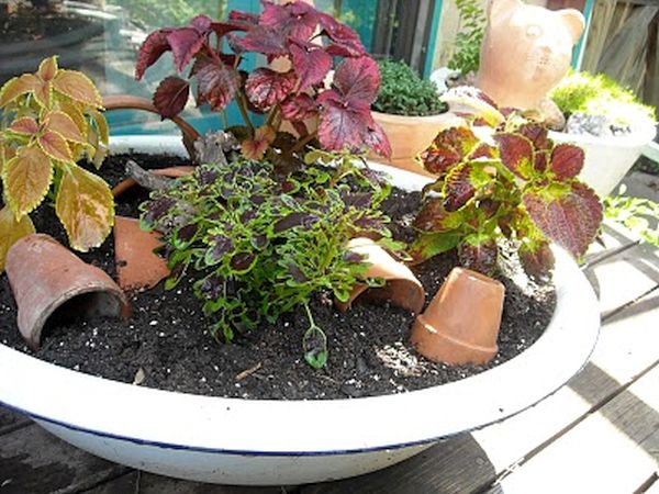 Washing bowl hanging pot