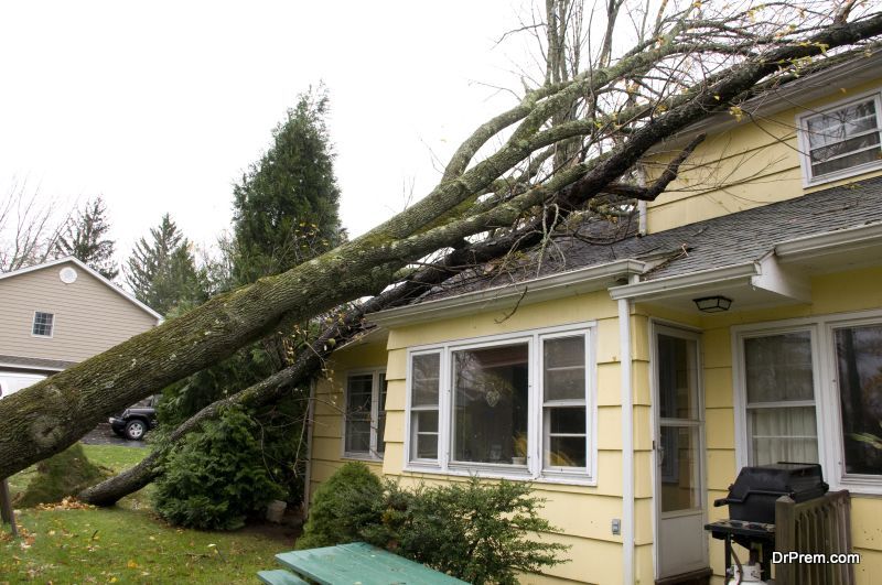 HOME AFTER STORM DAMAGE