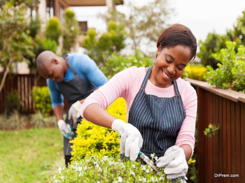 prepare-your-lawn