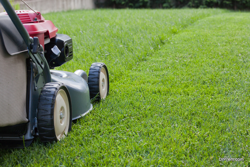 Yard of the Month