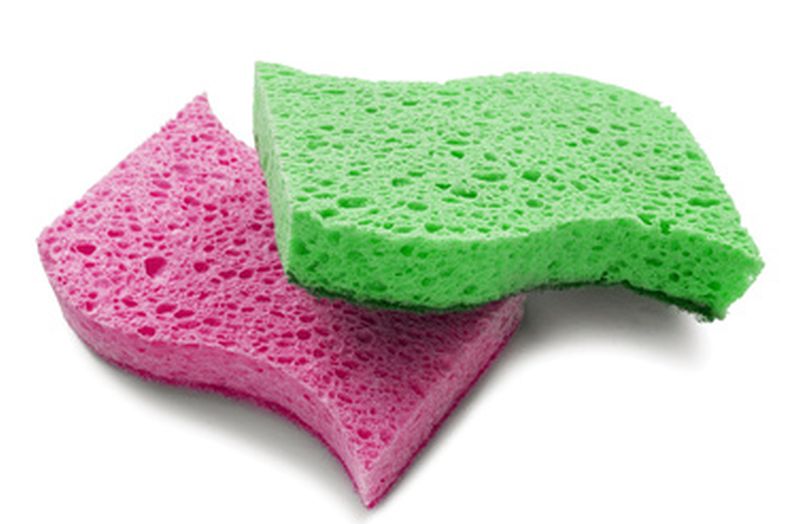 Sponges