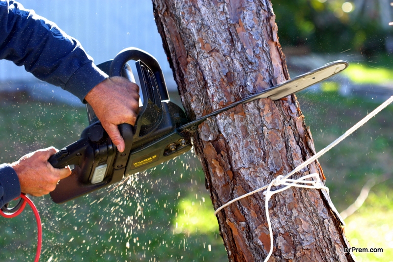 man removing tree