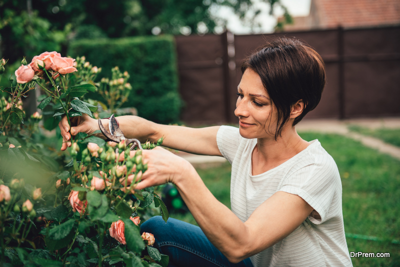 outdoor space improvements