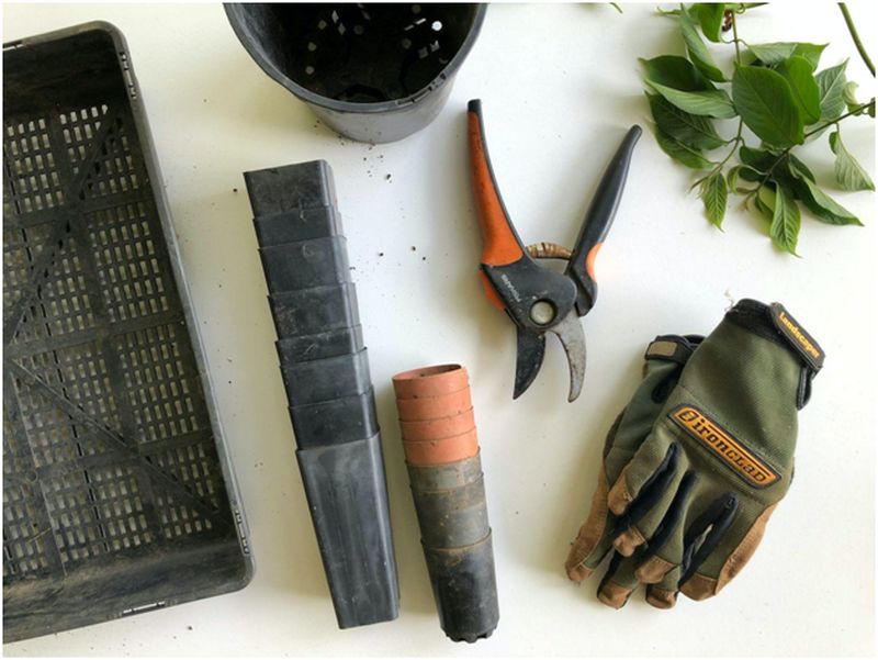 Indispensable DIY Landscaping Tools