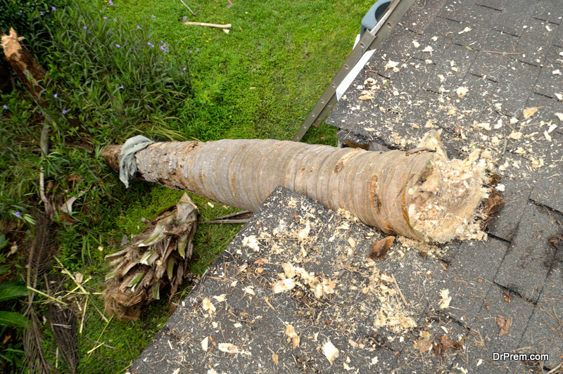 Signs Your Roof Has Weather Damage